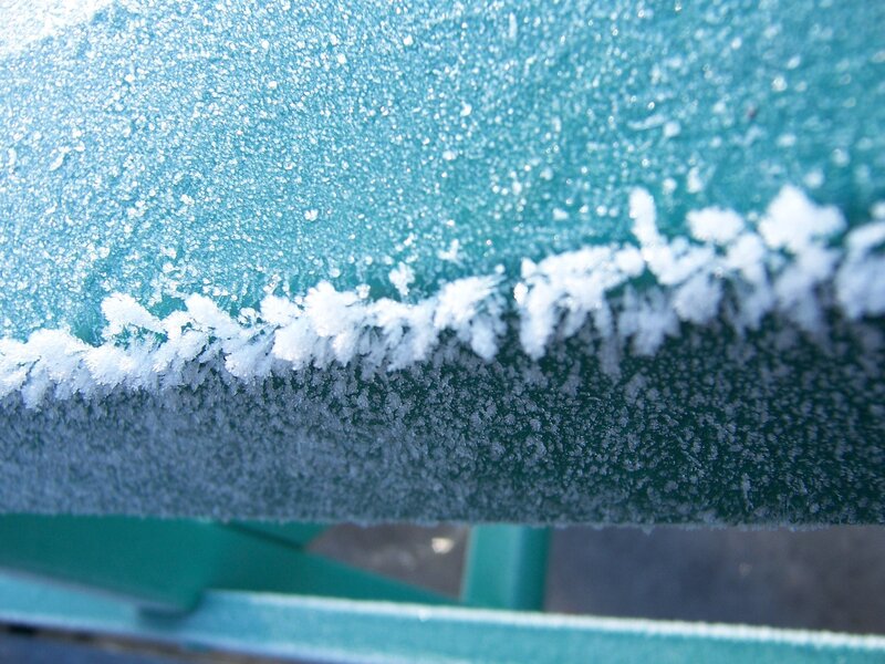 frost on a green surface