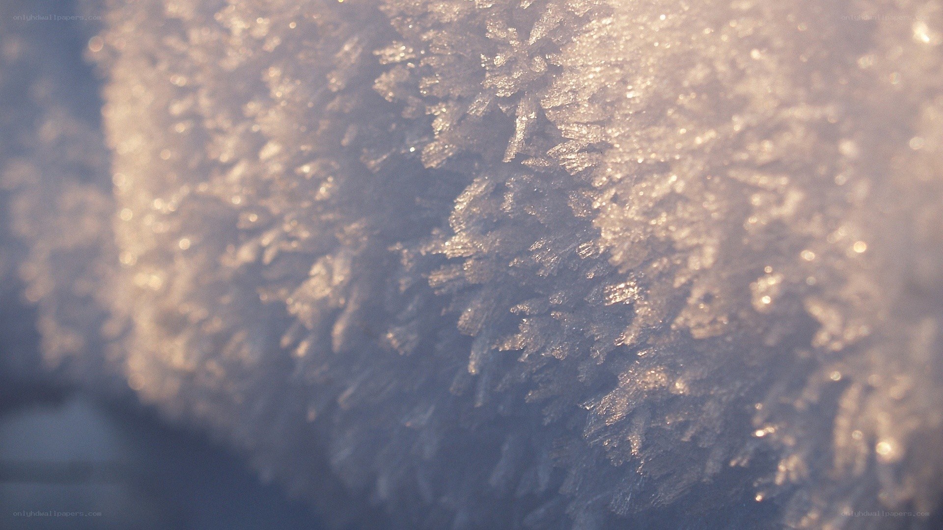frost pattern on glass