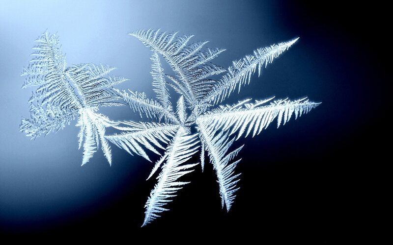 frost pattern on glass