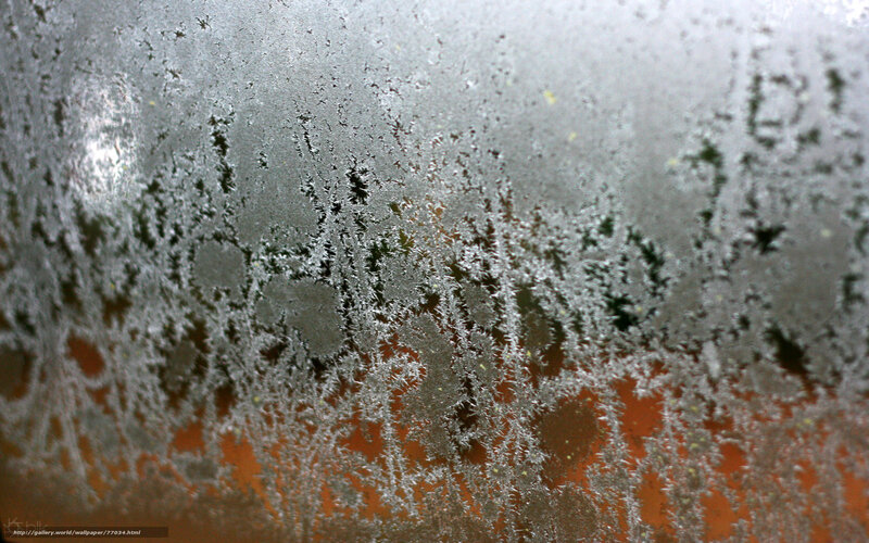 Frost Pattern on Glass — White, Cold, Winter
