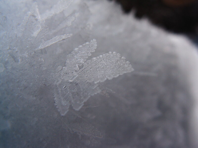 Frost Pattern on Glass — White