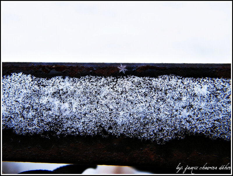 frost pattern on metal rail
