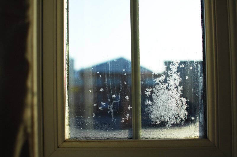 Frost Pattern on Window