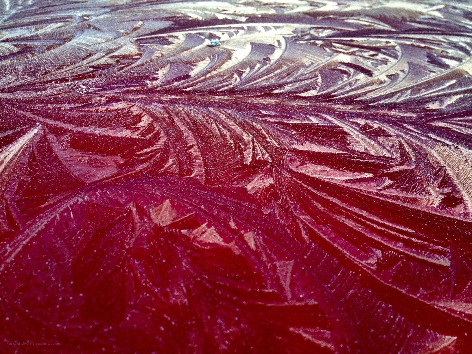 frost patterns on a surface
