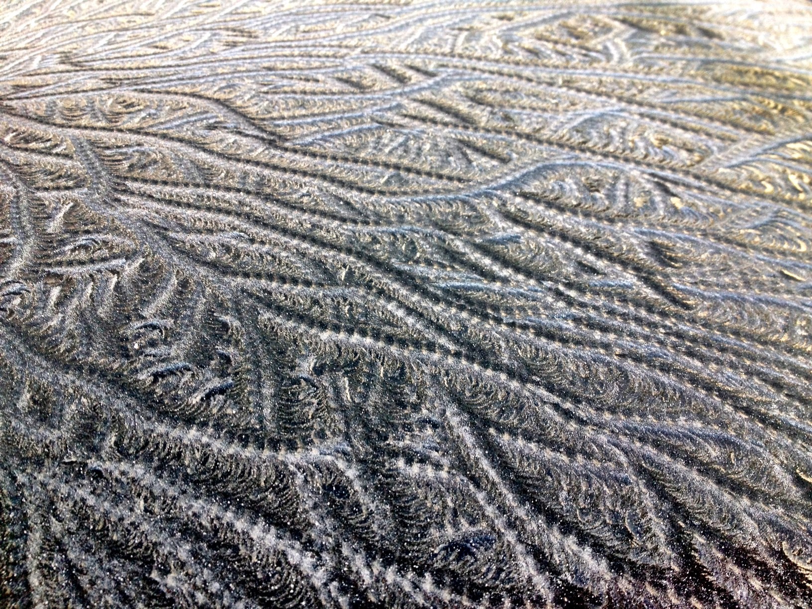 frost patterns on a surface