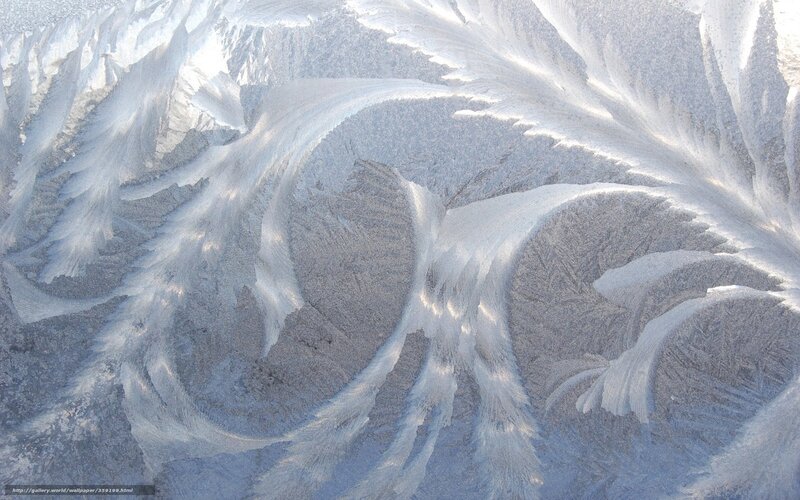 Frost patterns on a window