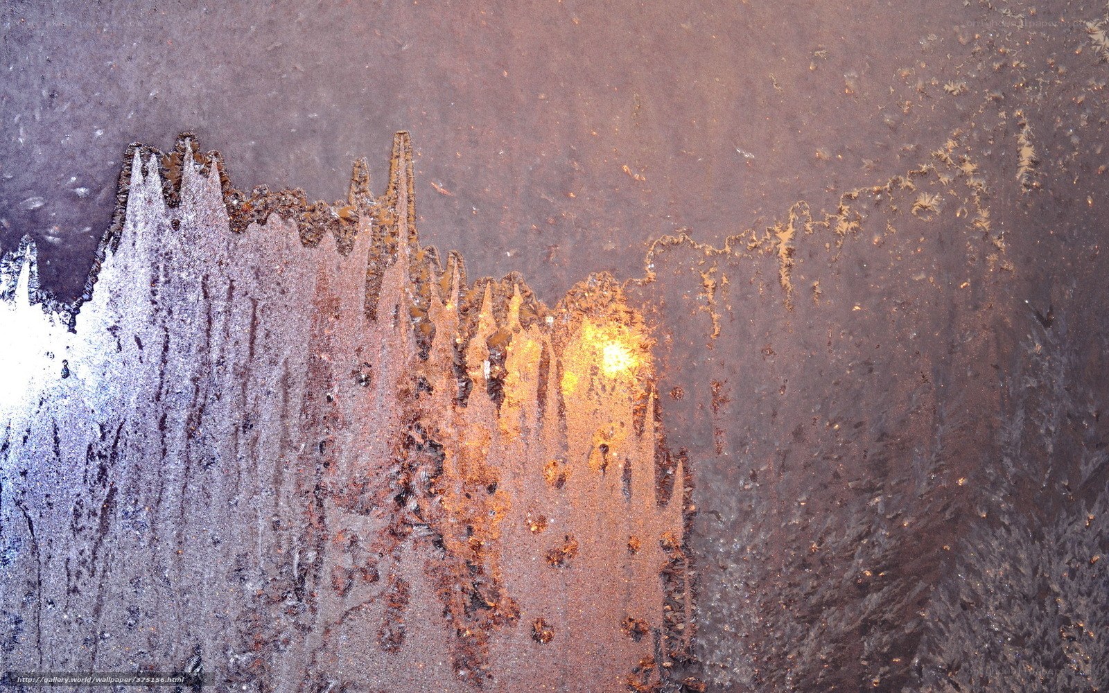 frost patterns on a window