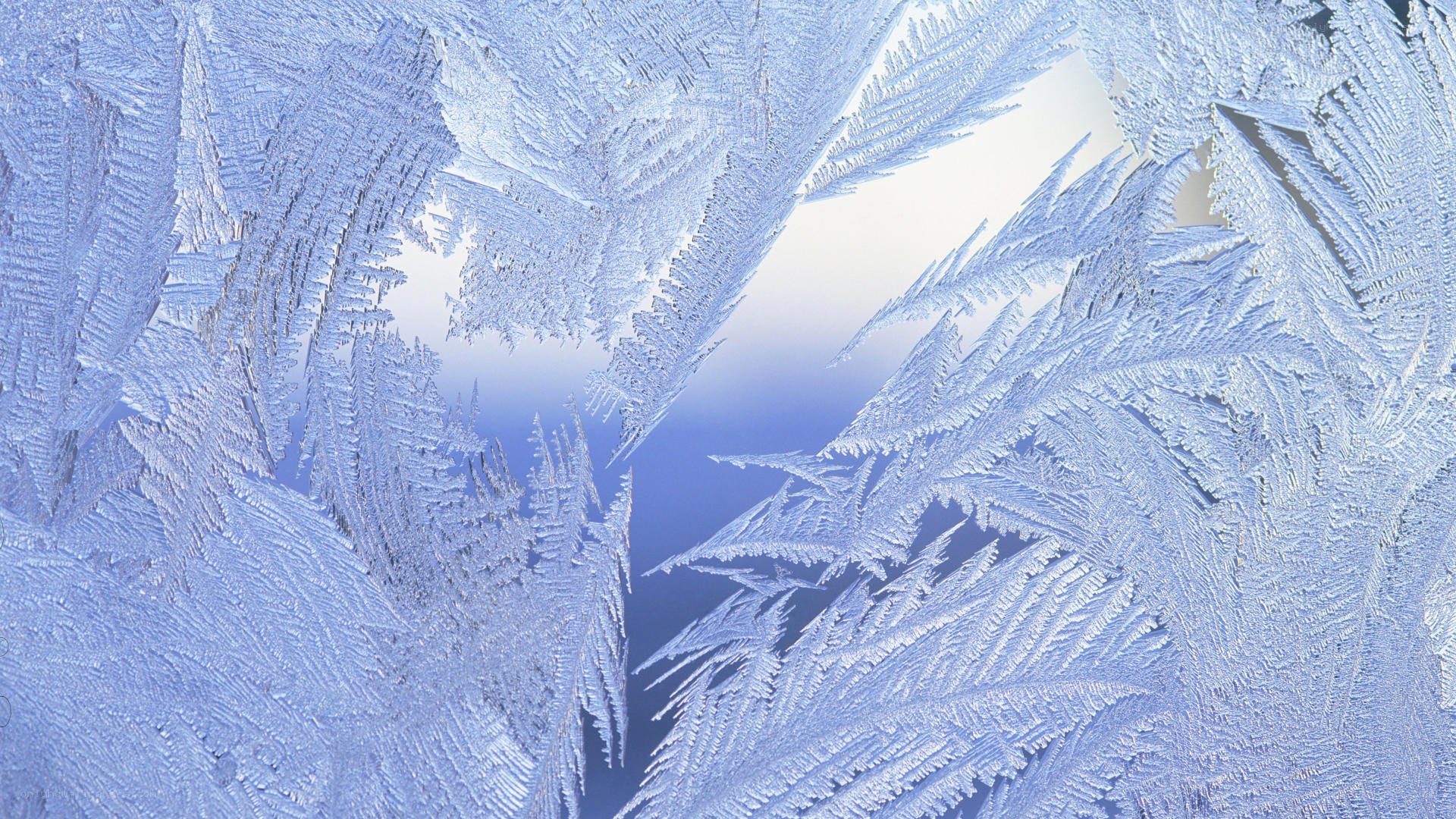 Frost patterns on a window