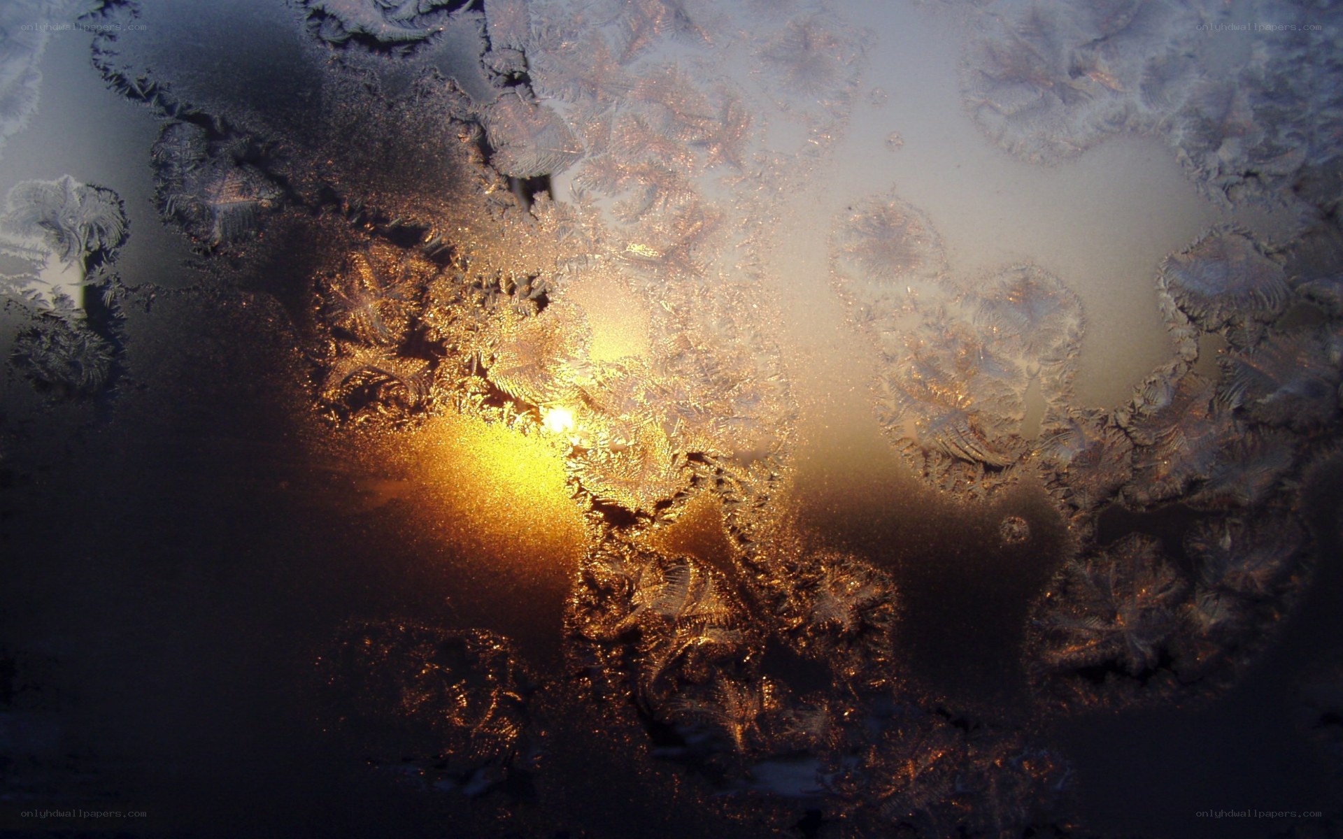 frost patterns on a window