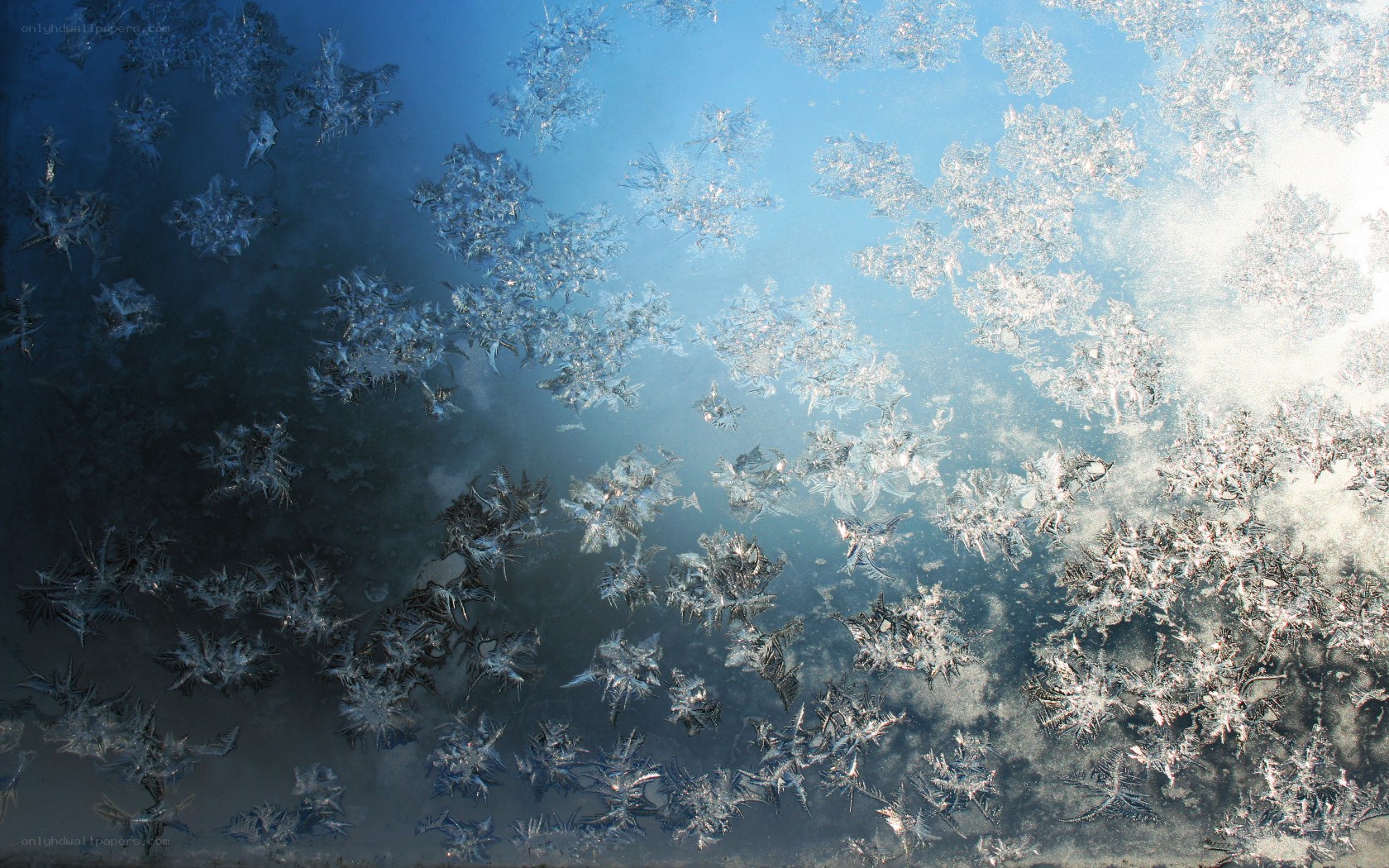 frost patterns on a window