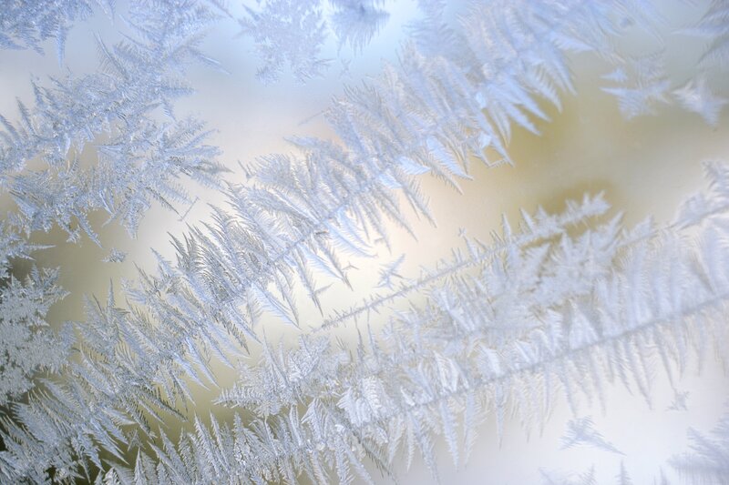 frost patterns on a window