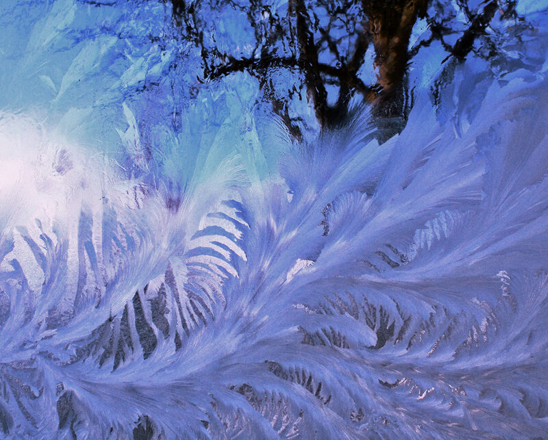 frost patterns on a window