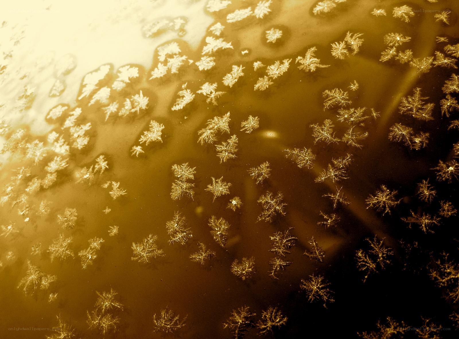 frost patterns on a window