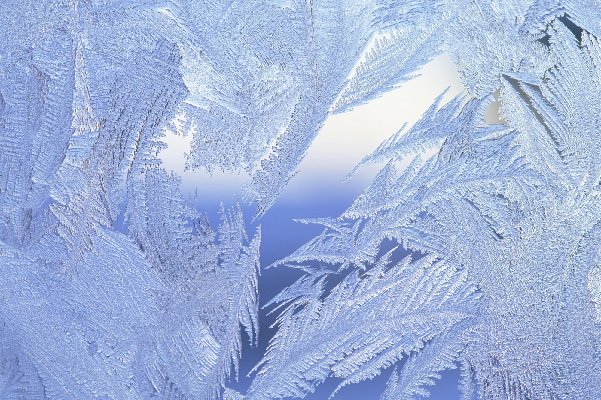 frost patterns on a window