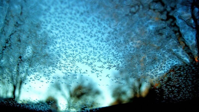 frost patterns on a window
