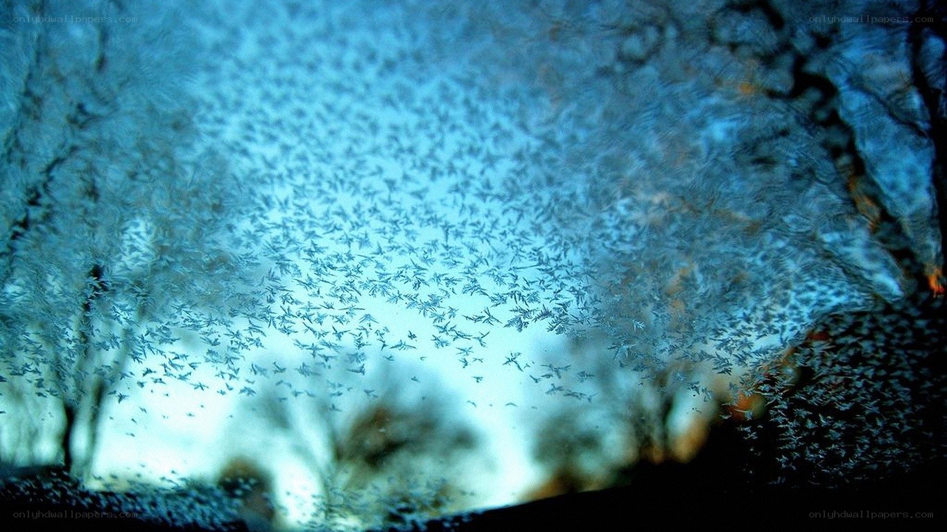 frost patterns on a window