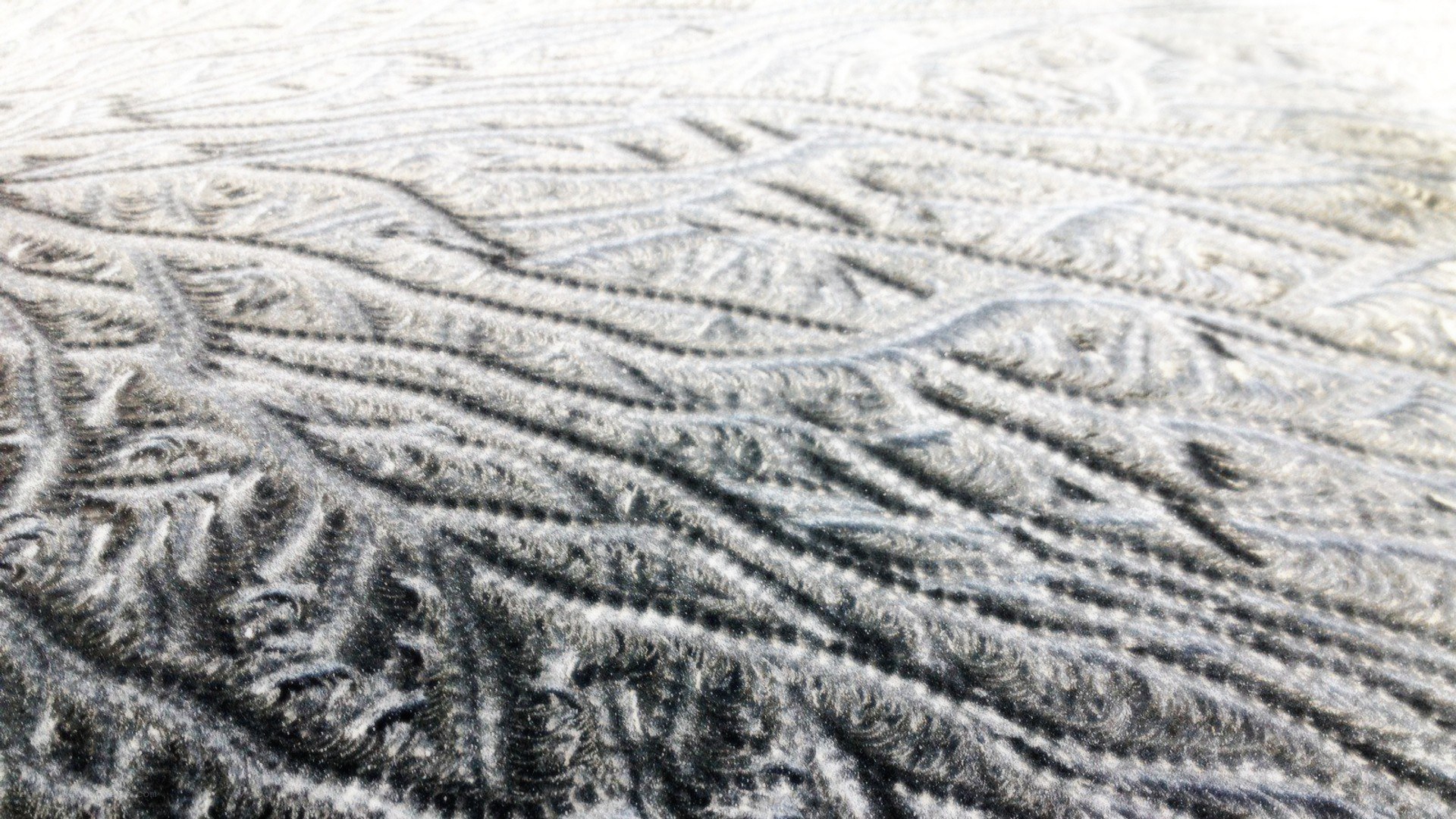 frost patterns on a window