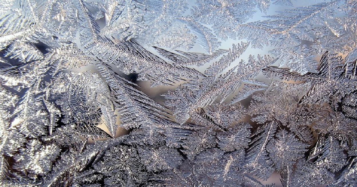 frost patterns on a window