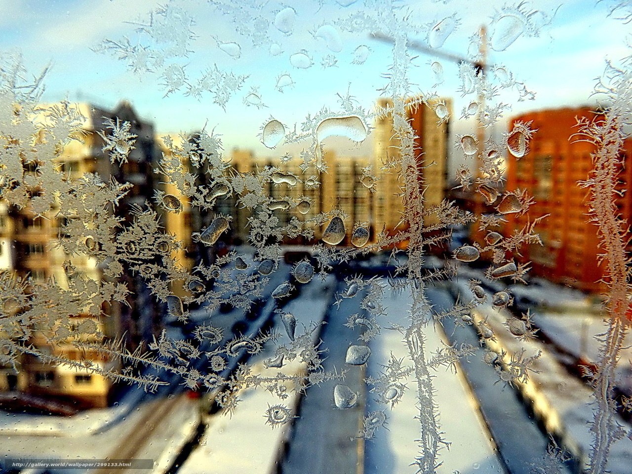 Frost patterns on a window