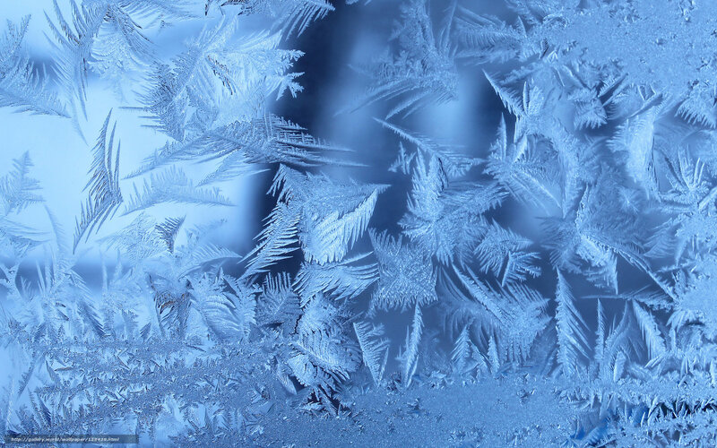 frost patterns on a window