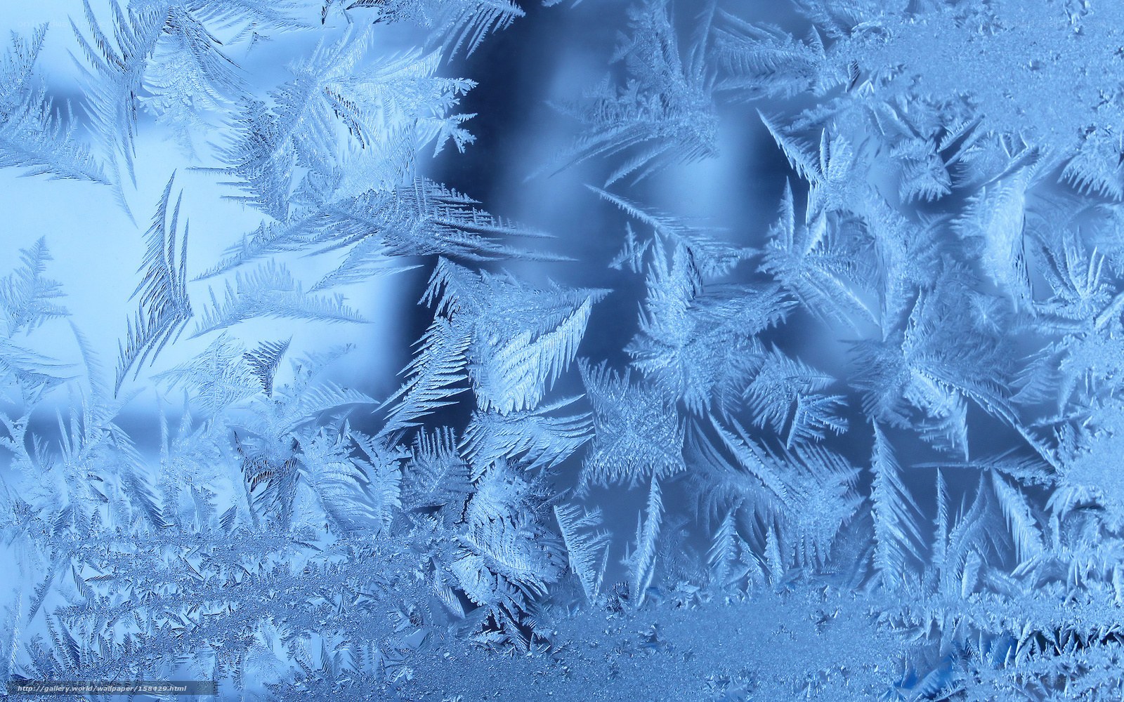 frost patterns on a window