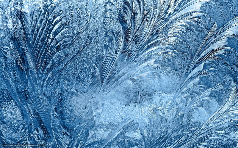 frost patterns on glass