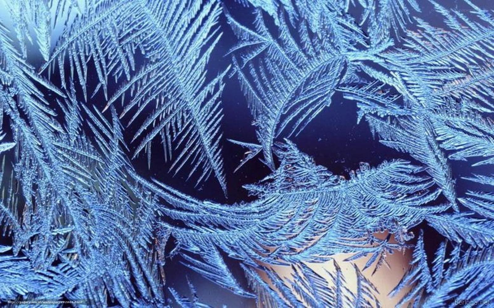 frost patterns on glass