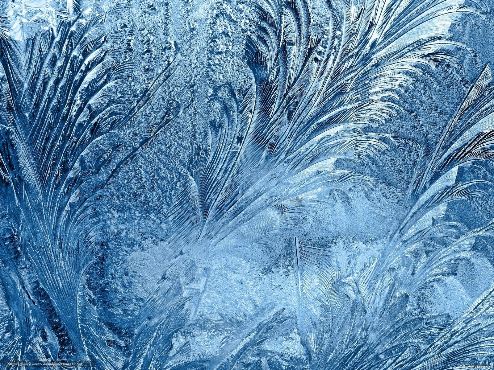 frost patterns on glass