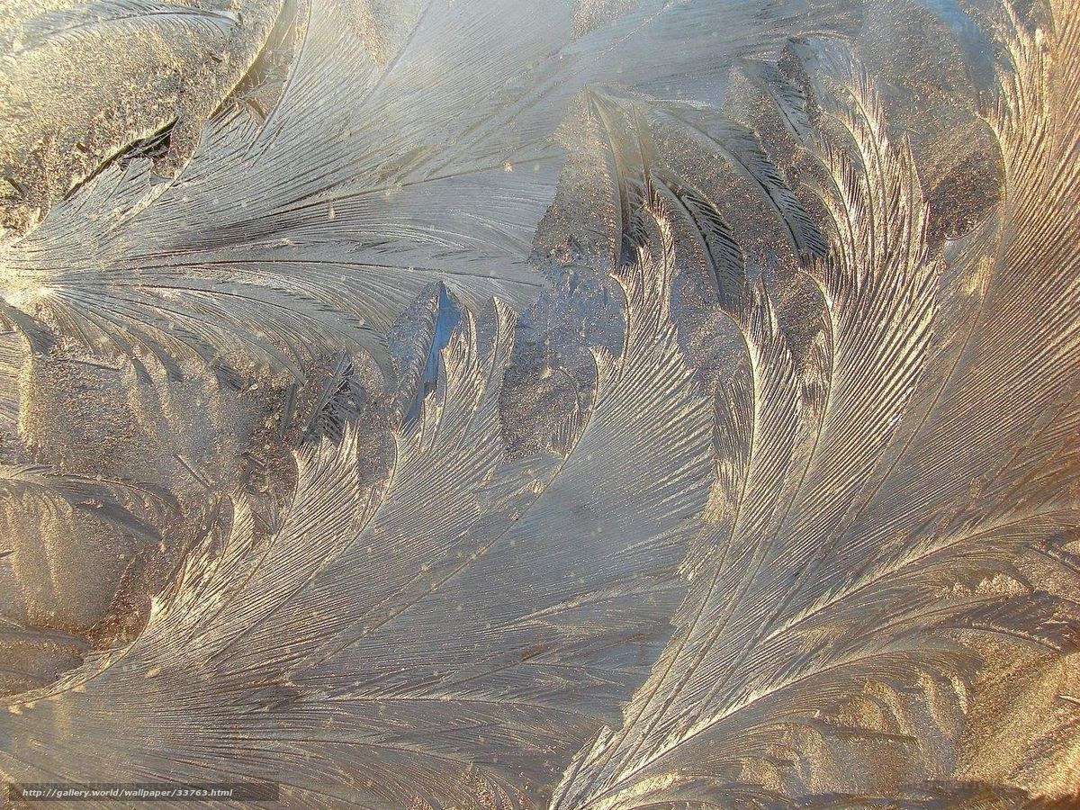Frost patterns on glass