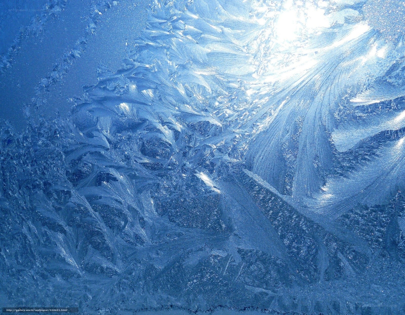 frost patterns on glass