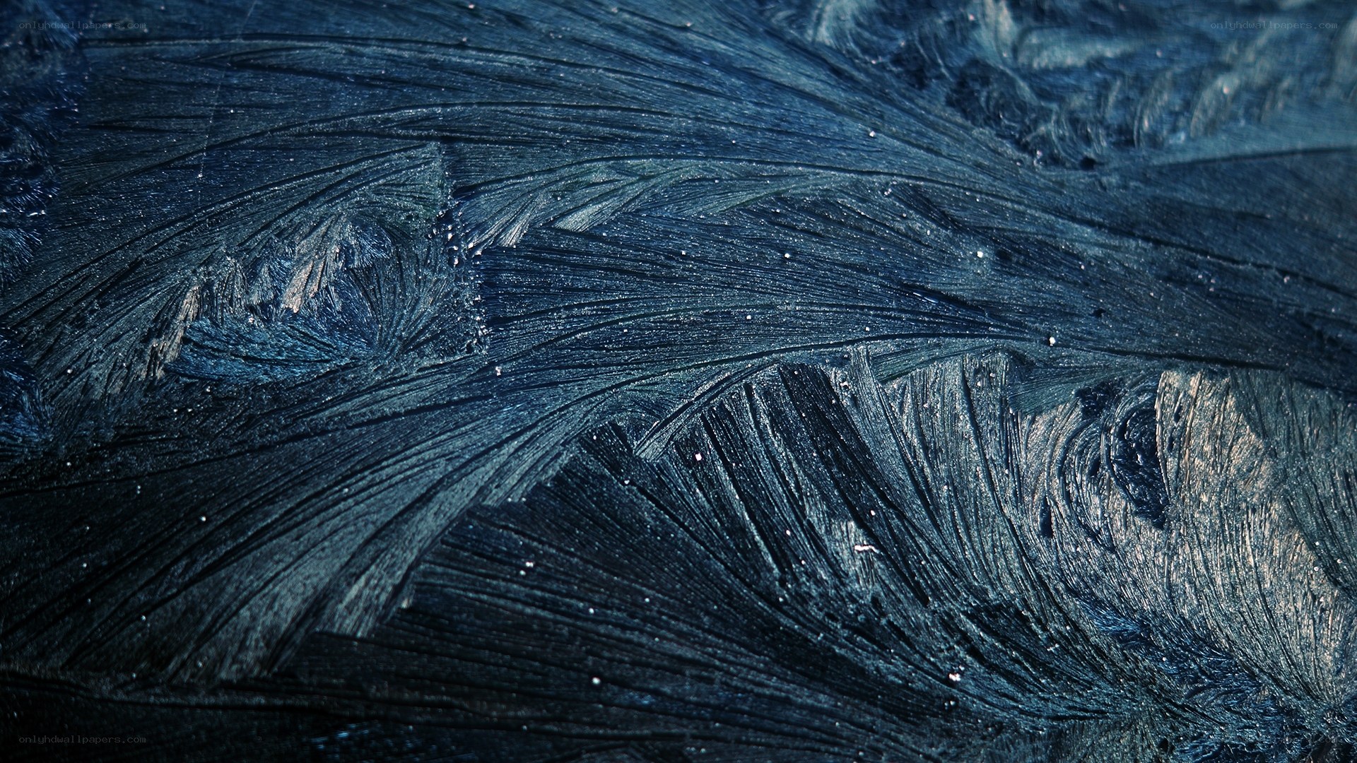 frost patterns on glass