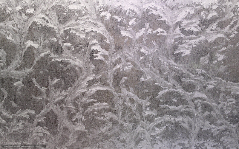frost patterns on glass