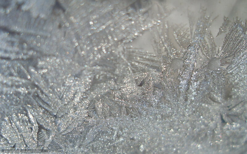 frost patterns on glass