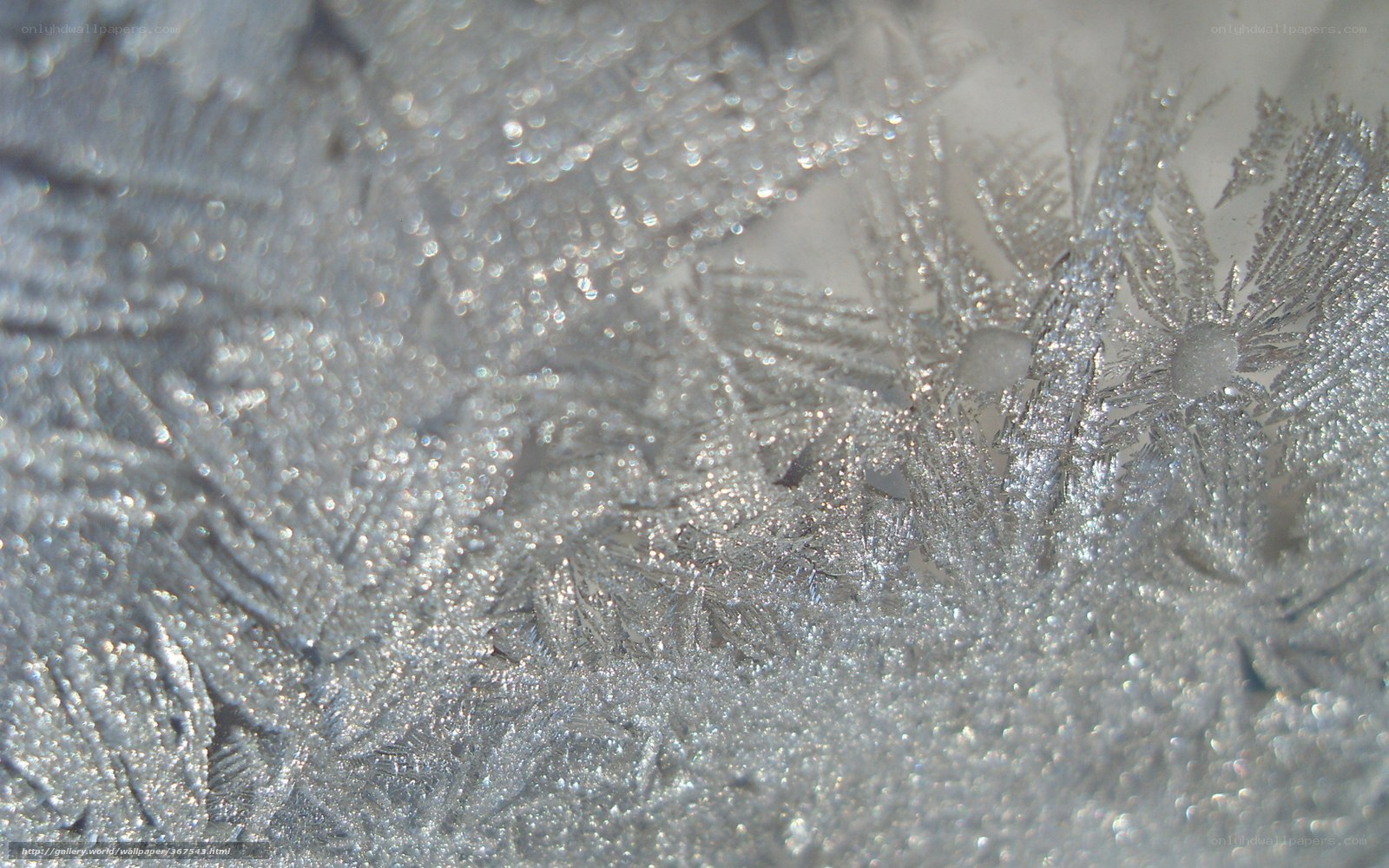 frost patterns on glass