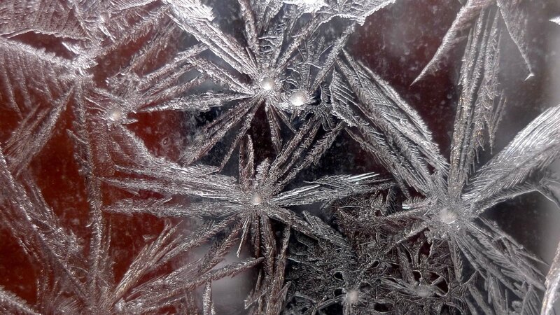 frost patterns on glass