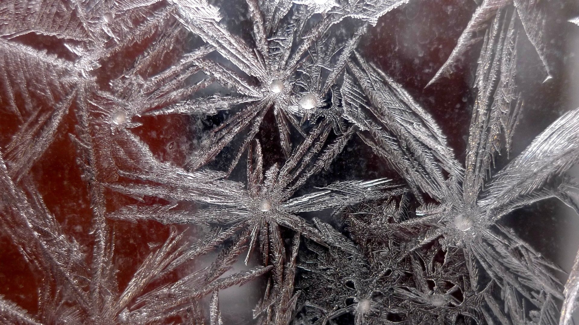 frost patterns on glass