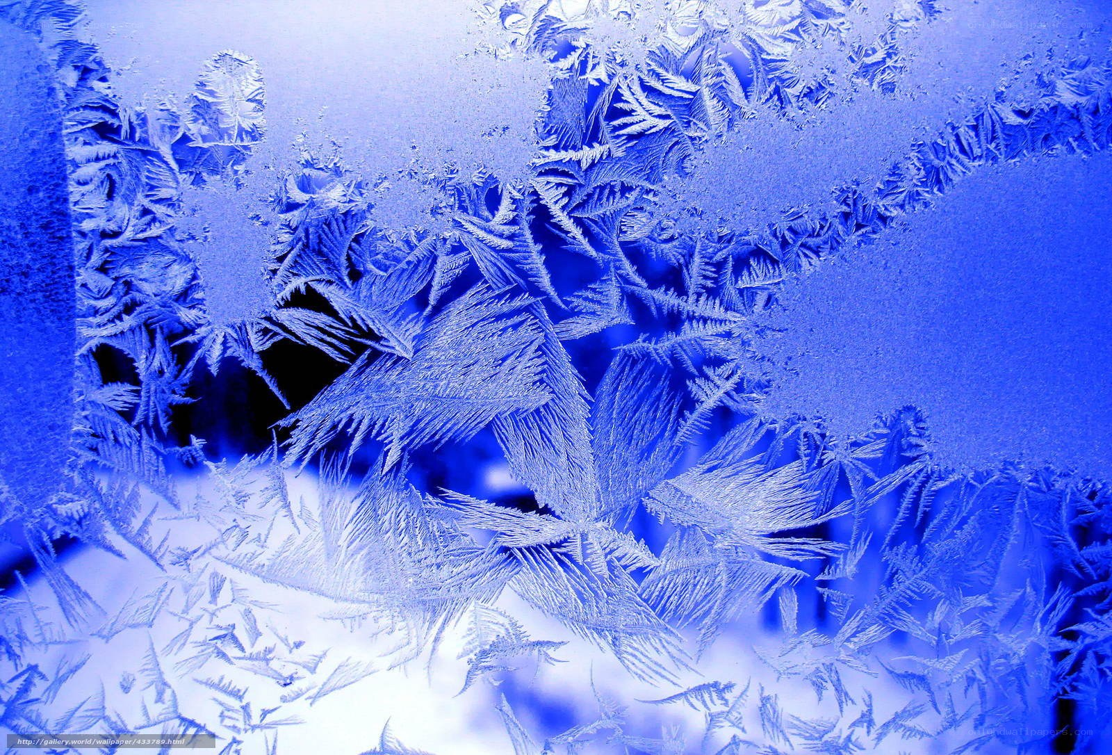 frost patterns on glass