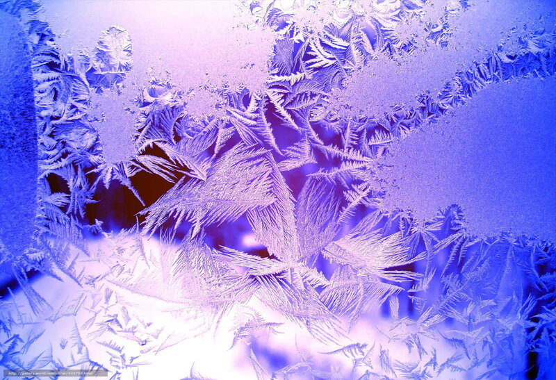 frost patterns on glass