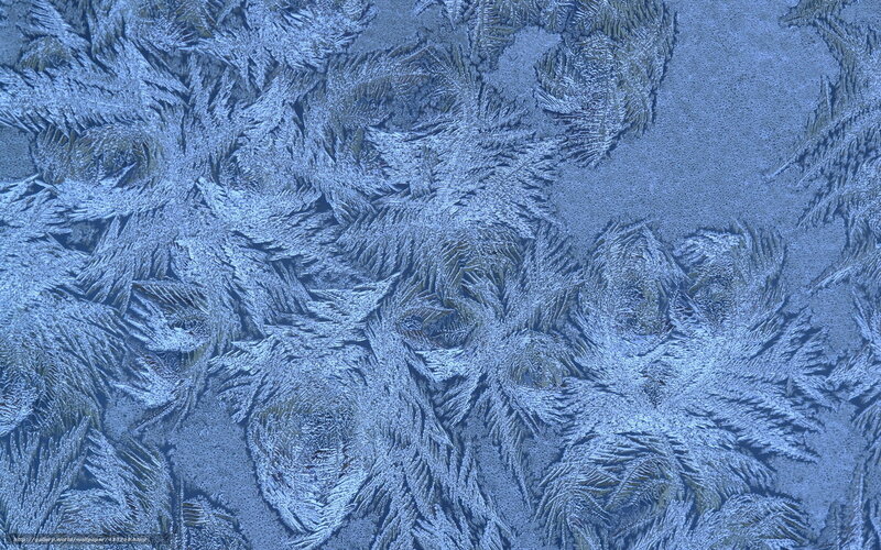 frost patterns on glass