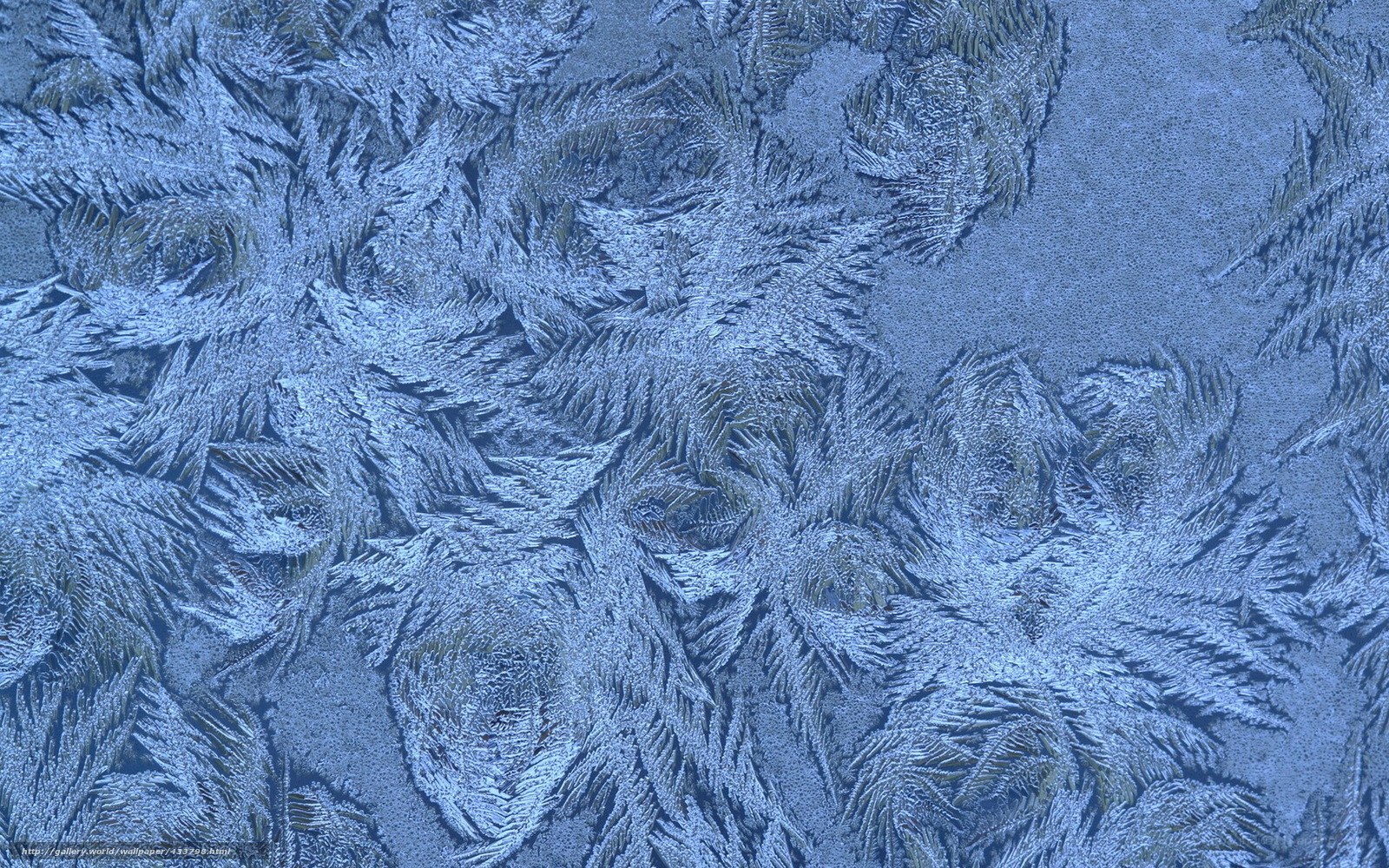 frost patterns on glass