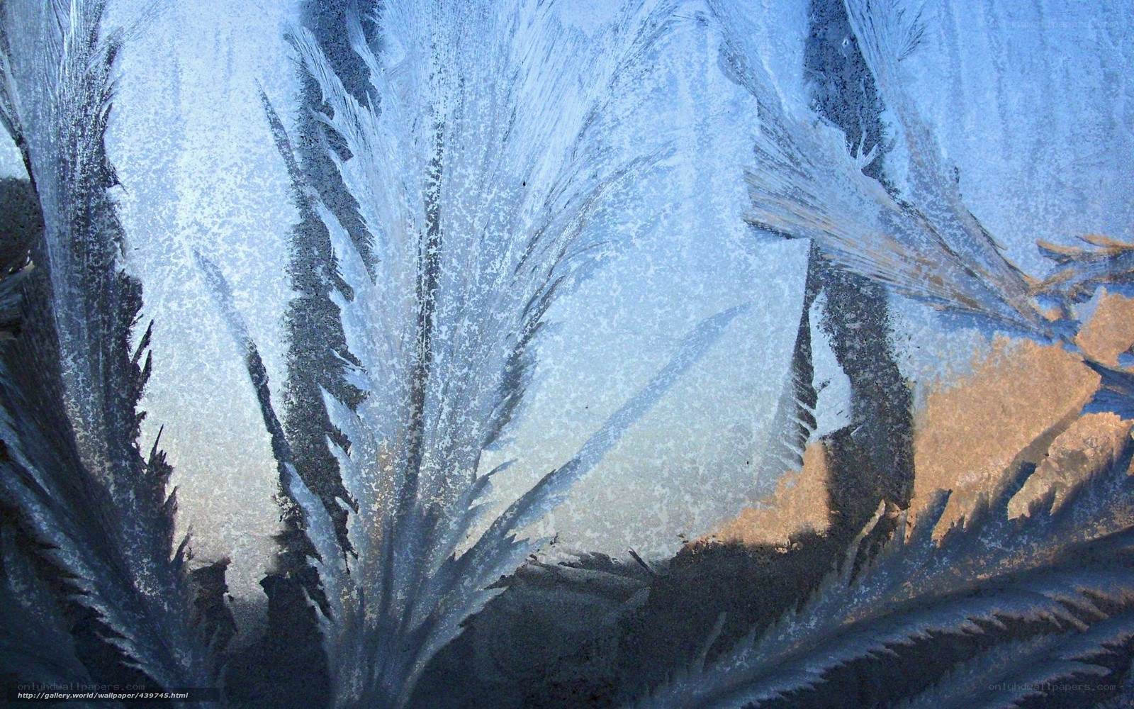 frost patterns on glass