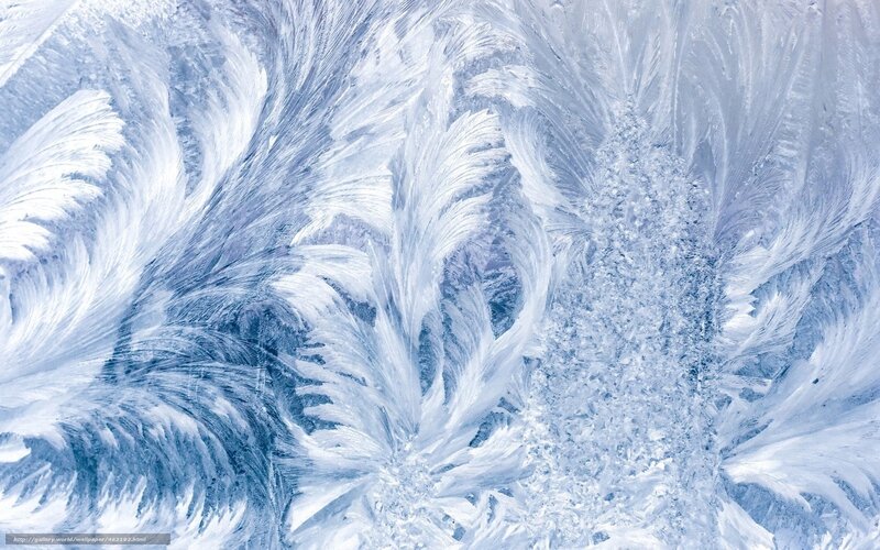 frost patterns on glass