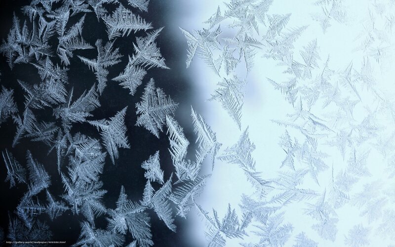 frost patterns on glass