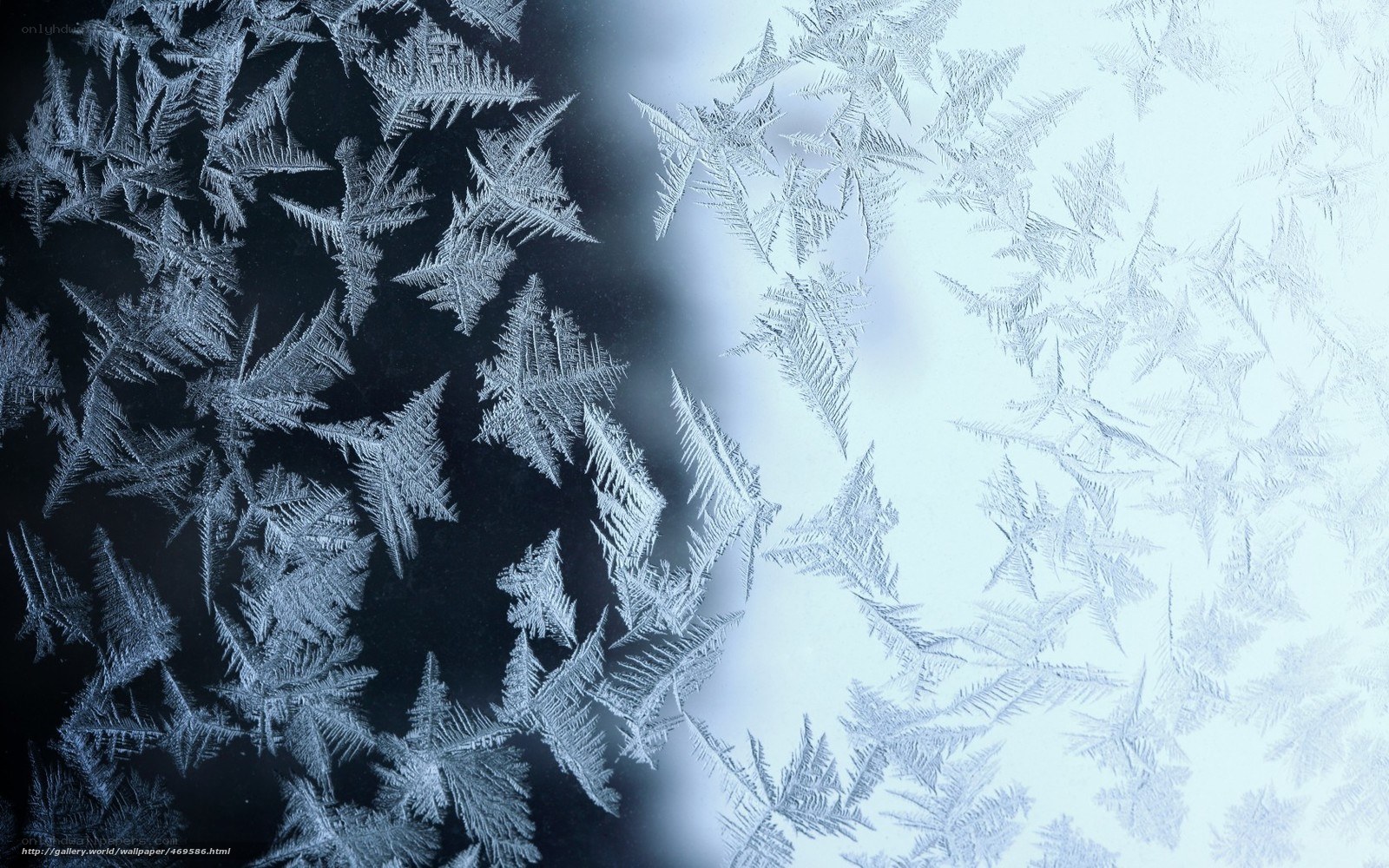 frost patterns on glass