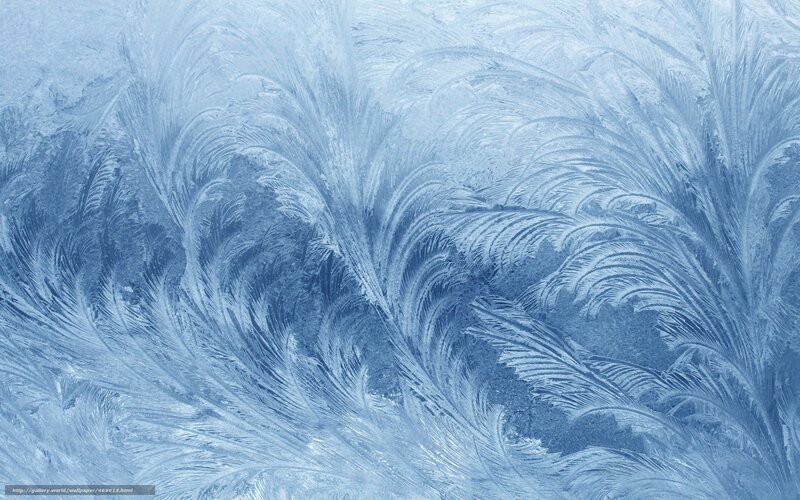 frost patterns on glass