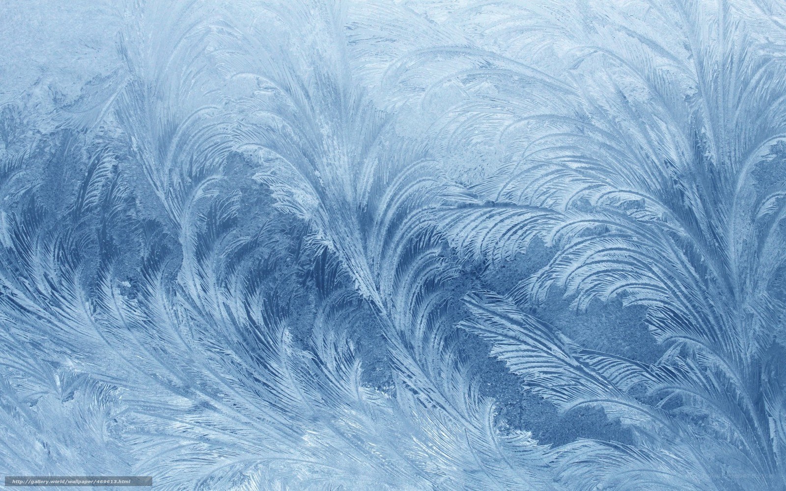 frost patterns on glass
