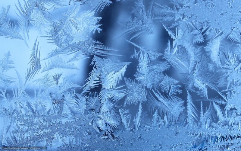 frost patterns on glass