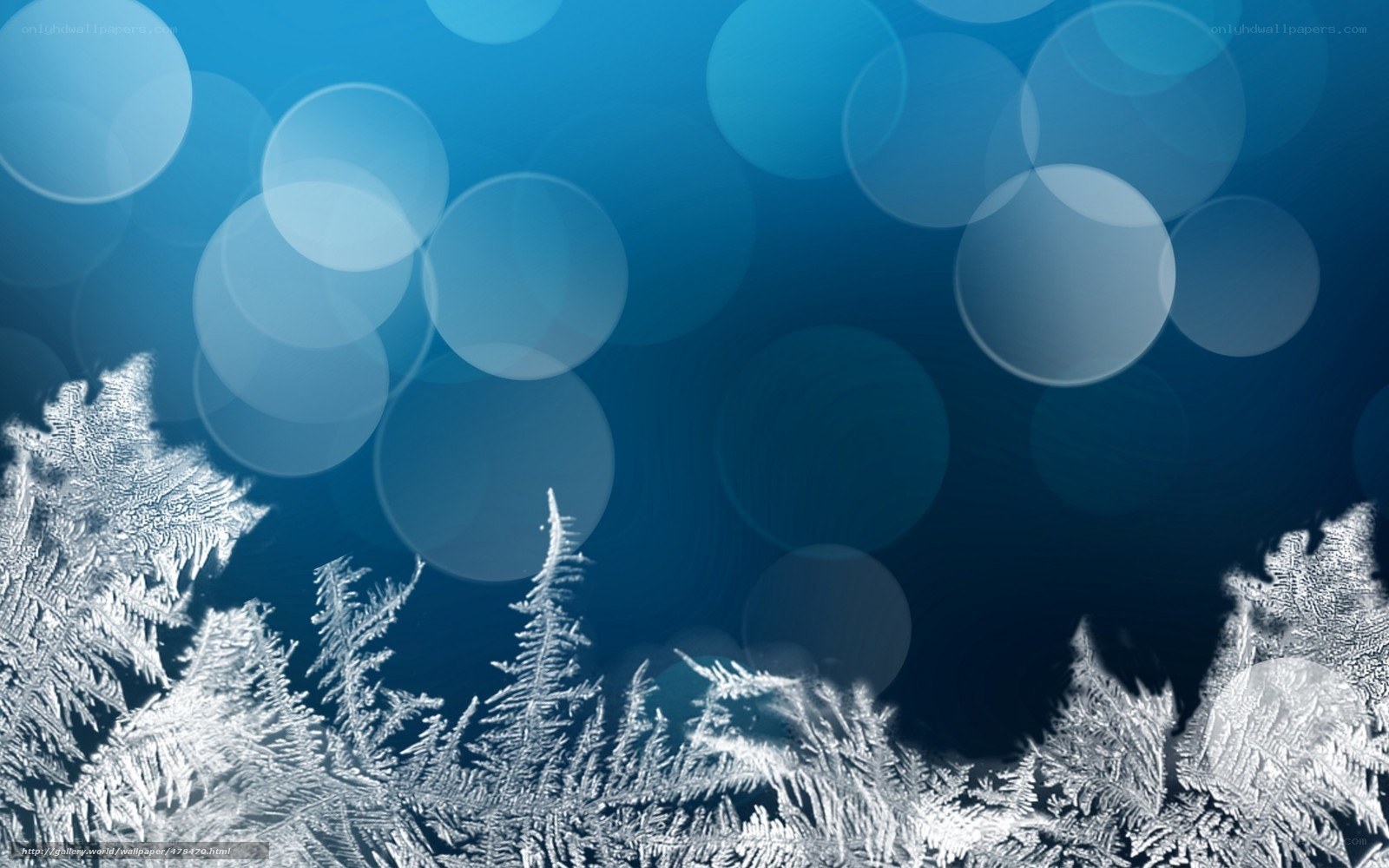 frost patterns on glass