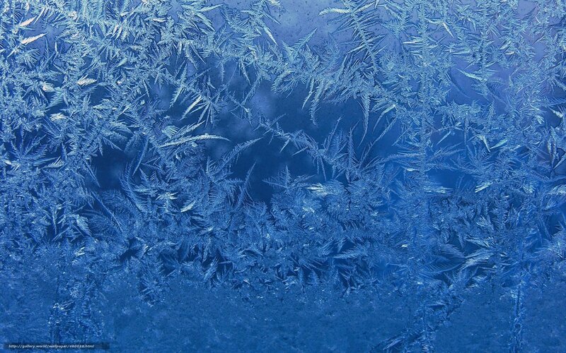 frost patterns on glass