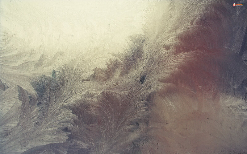 frost patterns on glass